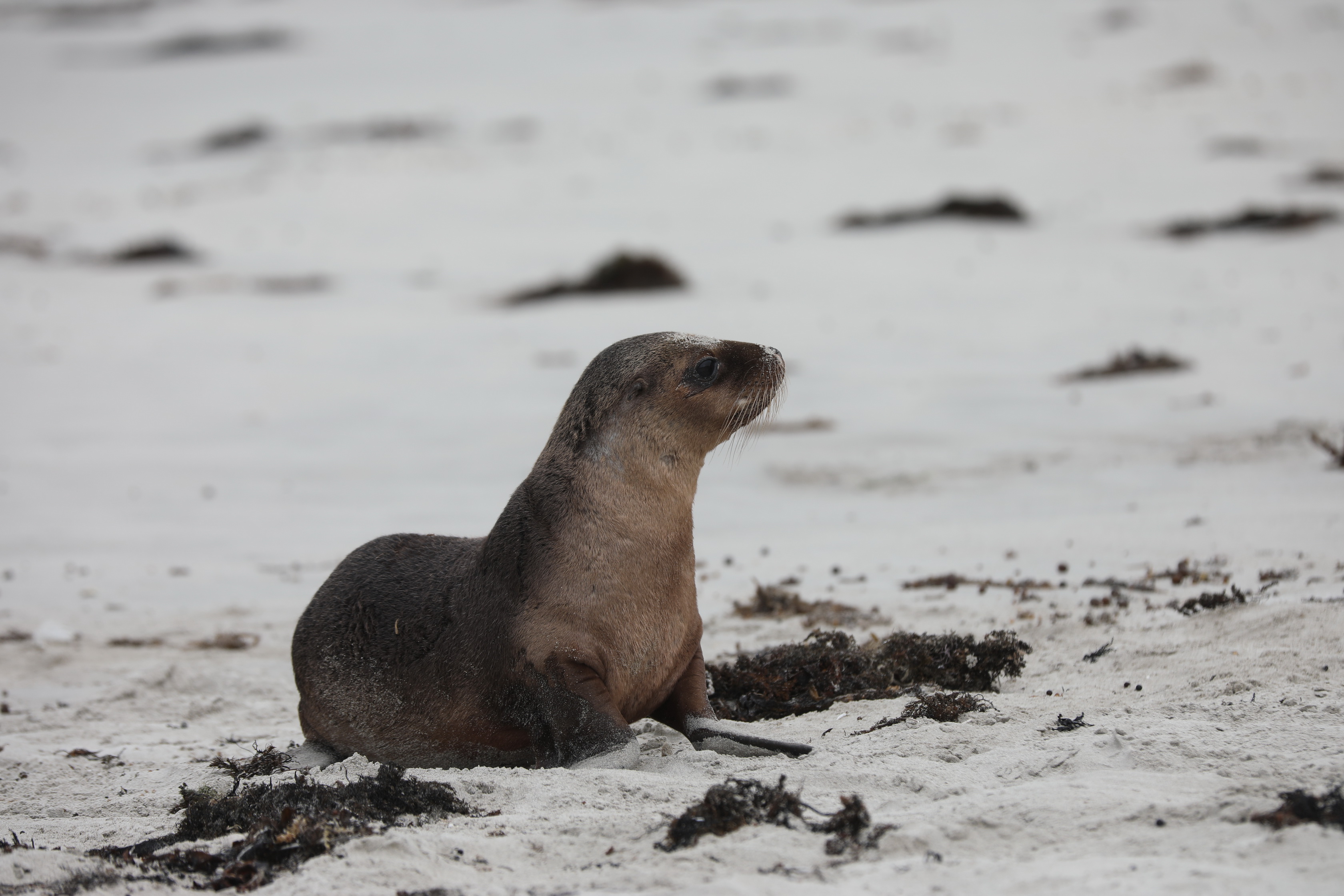 2019 09 29 12 39 11 Canon EOS 5D Mark IV 0021